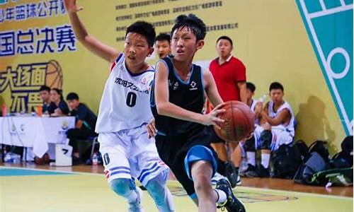 中国蓝少年_nba中国少年篮球