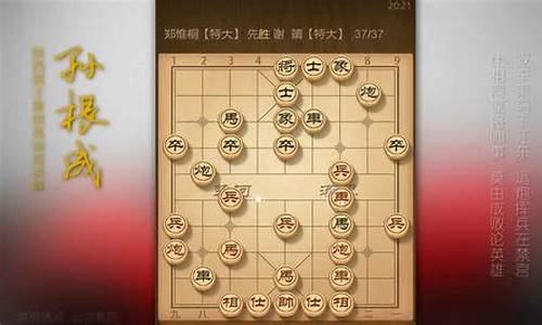 2015年象棋甲级联赛_2015年象棋比赛